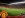 Man Utd